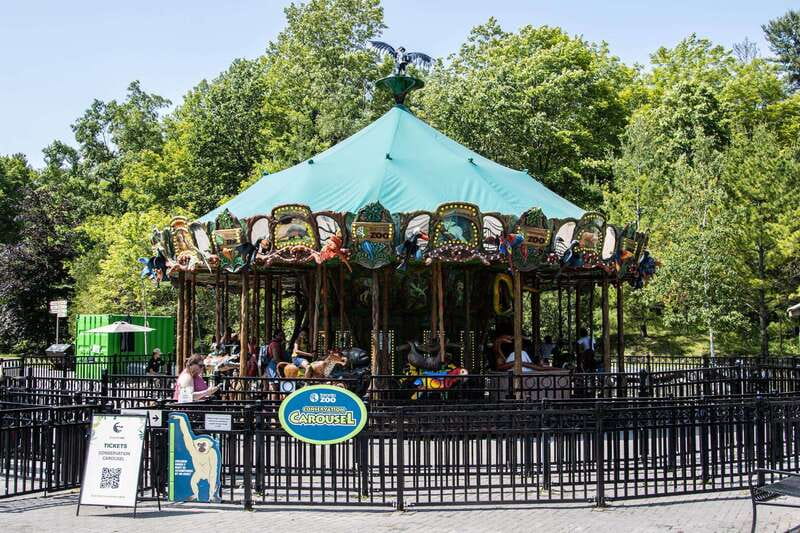 Toronto: Toronto Zoo Entry Ticket - Who should book this Toronto Zoo ticket