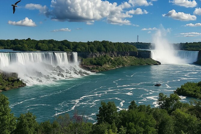 Walking Tour + Boat Ride + Skylon Tower Observation Deck (Canada) - Meeting points and timing: how to avoid stress