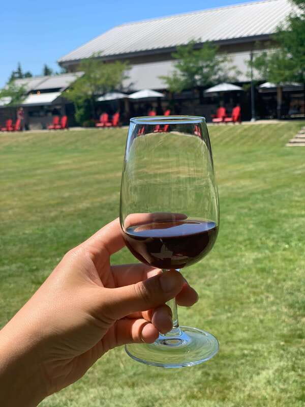 Wine & Cheese Afternoon Wine Tours in NOTL - What You Learn at Each Winery: From Crush to Barrel Room