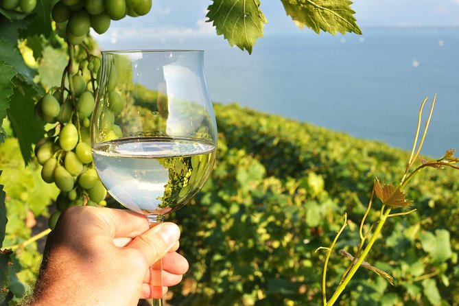 Wine Tasting and lavender Farm Tours - How This 4-Hour Wine and Lavender Route Really Fits Together