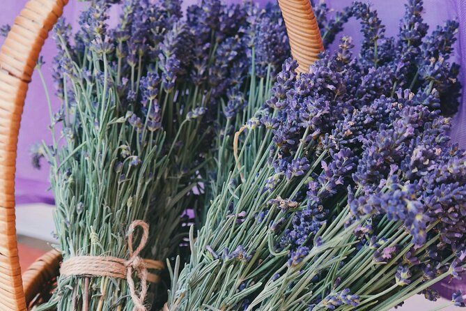 Wine Tasting and lavender Farm Tours - Niagara Icewine: Love It or Keep It Light
