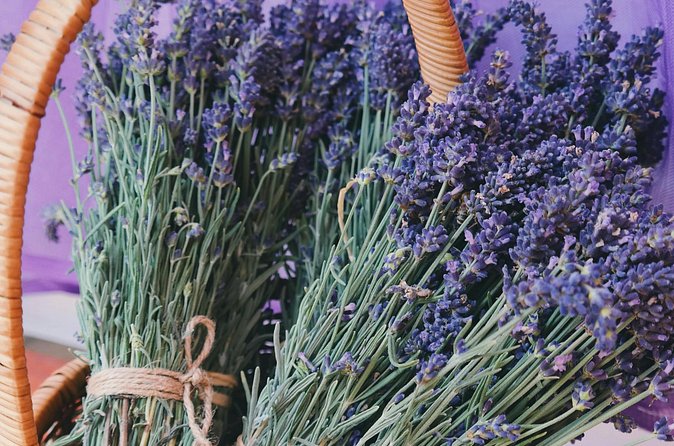 Wine Tasting and lavender Farm Tours - Chocolate Factory Stop: Where the Sweet Learning Happens